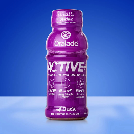 Oralade Active Συμπλήρωμα Διατροφής, Ισοτονικό Ρόφημα Ηλεκτρολυτών Duck 250ml