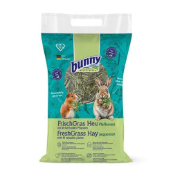Bunny Χόρτο Fresh Grass Hay με Μέντα 500gr