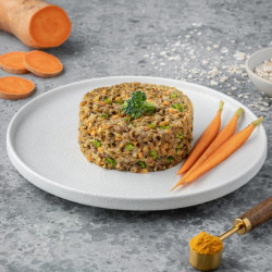 NOMA Μαγειρευτό Φαγητό για Σκύλους Μοσχάρι με Βρώμη και Γλυκοπατάτα 500gr (ΠΑΡΑΛΑΒΗ ΜΟΝΟ ΑΠΟ ΤΟ ΚΑΤΑΣΤΗΜΑ)