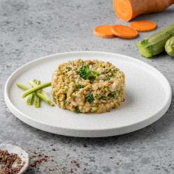 NOMA Μαγειρευτό Φαγητό για Σκύλους Μπακαλιάρο με Ρύζι και Γλυκοπατάτα 500gr (ΠΑΡΑΑΛΒΗ ΜΟΝΟ ΑΠΟ ΤΟ ΚΑΤΑΣΤΗΜΑ)