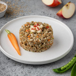 NOMA Μαγειρευτό Φαγητό για Σκύλους Πάπια με Ρύζι και Κινόα 500gr (ΠΑΡΑΛΑΒΗ ΜΟΝΟ ΑΠΟ ΤΟ ΚΑΤΑΣΤΗΜΑ)