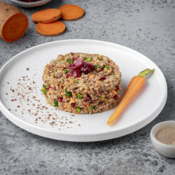 NOMA Μαγειρευτό Φαγητό για Σκύλους Γαλοπούλα με Βρώμη και Λαχανικά 500gr (ΠΑΡΑΛΑΒΗ ΜΟΝΟ ΑΠΟ ΤΟ ΚΑΤΑΣΤΗΜΑ)