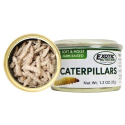 Canned Caterpillars 35g