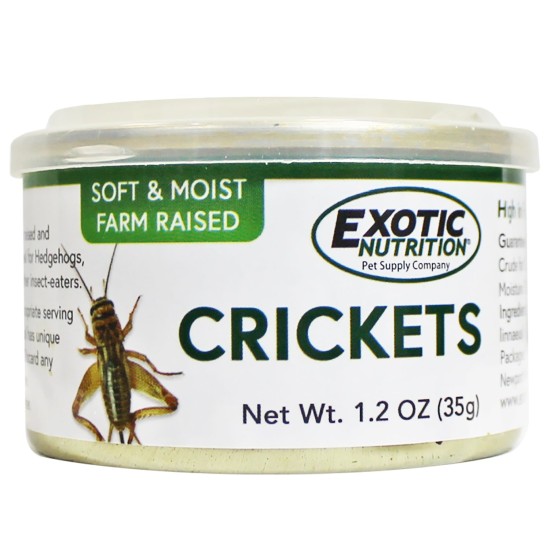 Canned Crickets