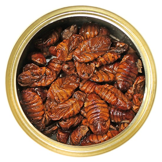 Canned Silkworm Pupae 35g