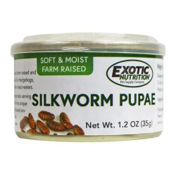 Canned Silkworm Pupae 35g