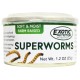 Canned Superworms 35g