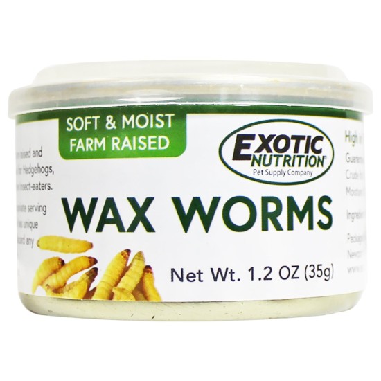 Canned Wax Worms 35g