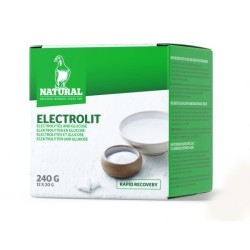 Natural Electrolit  20g