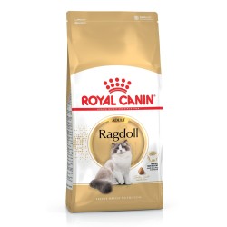 ROYAL CANIN RAGDOLL 2kg