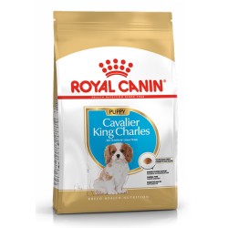 ROYAL CANIN CAVALIER KING CHARLES PUPPY1,5kg