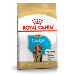 ROYAL CANIN COCKER PUPPY 3kg