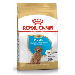 ROYAL CANIN POODLE PUPPY 3kg