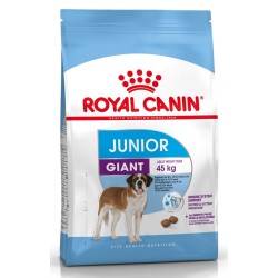 ROYAL CANIN GIANT JUNIOR 3,5kg