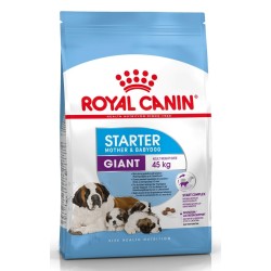 ROYAL CANIN GIANT STARTER 4kg