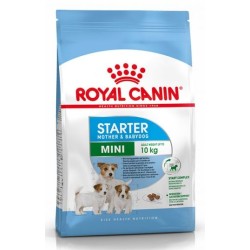 ROYAL CANIN MINI STARTER 3kg