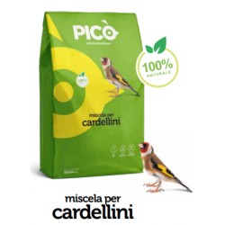 Pico - ASTI CARDUELIS - Μείγμα για καρδερίνες - Σοδιάς 2023 - 4kg
