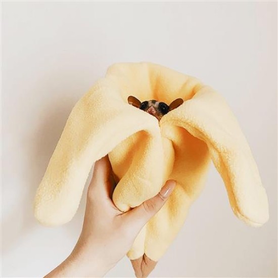 Banana Pouch